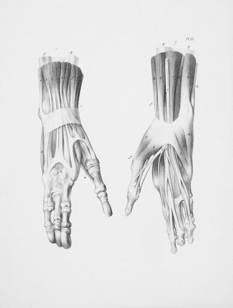 Soulager les douleurs du genou naturellement avec l’argile verte